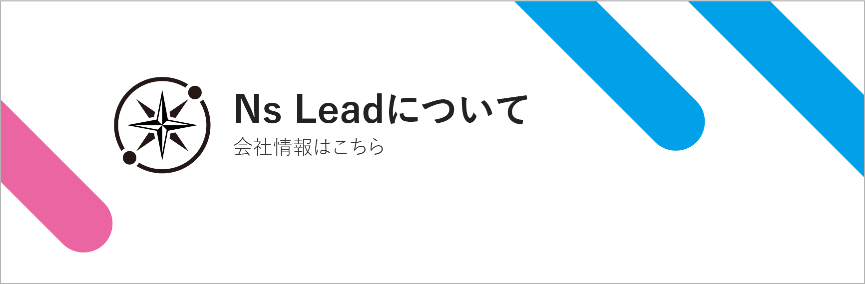 Ns Leadについて